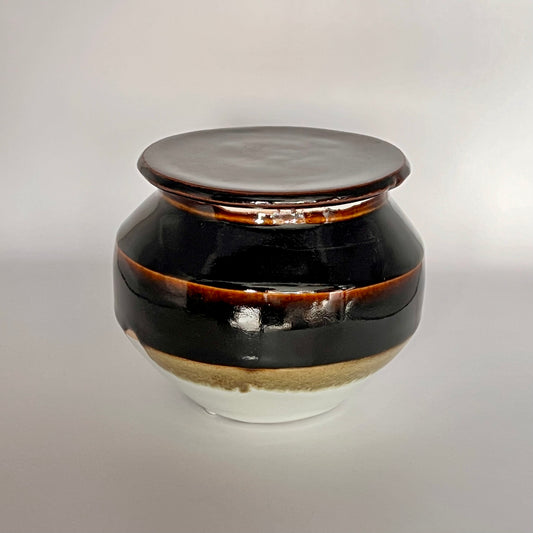 Small Lidded Porcelain Jar in Tenmoku & Glossy White